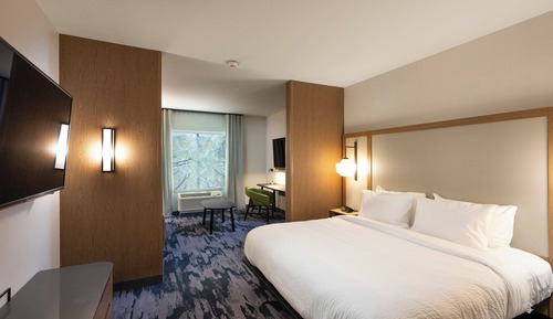 Junior Suite, 1 King Bed with Sofa bed, Non Smoking