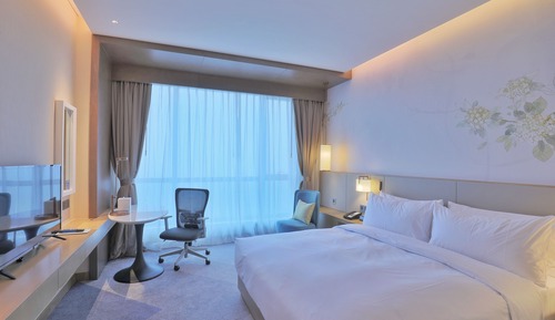 Room, 1 King Bed