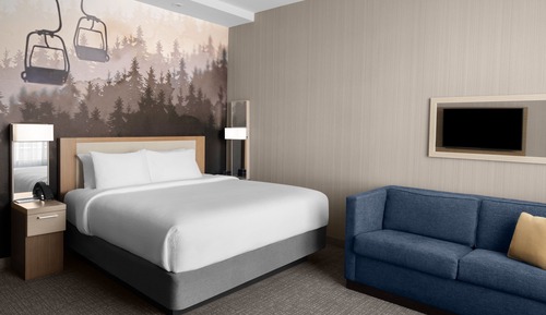 Room, 1 King Bed with Sofa bed (Mobility Accessible, Tub)