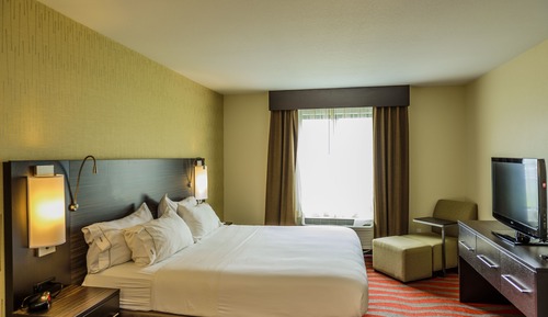 Suite, 1 King Bed with Sofa bed