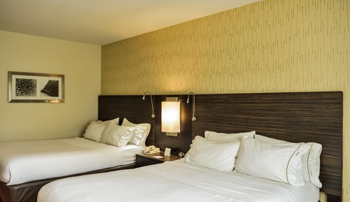 Standard Room, Hearing Accessible (Hearing)