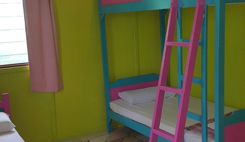 Standard Shared Dormitory