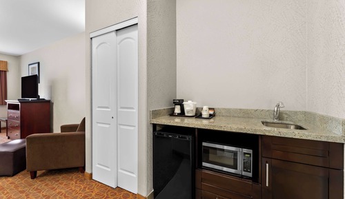 Standard Room, 1 King Bed, Non Smoking, Refrigerator & Microwave (with Sofabed)