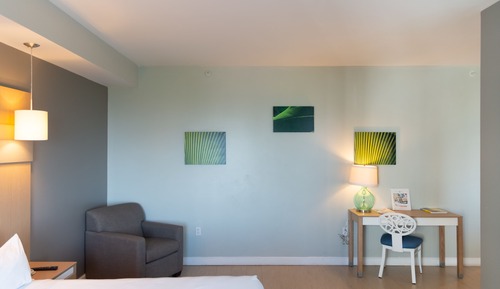 Junior Suite, Garden View