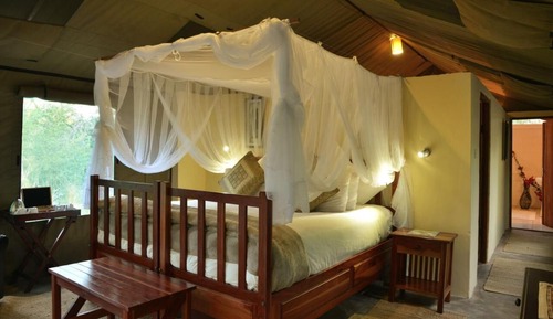 Tent (Family Forest Tent)