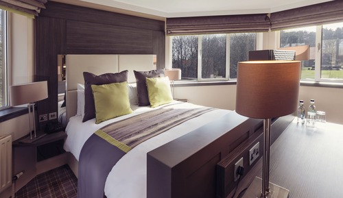 Contempo Suite