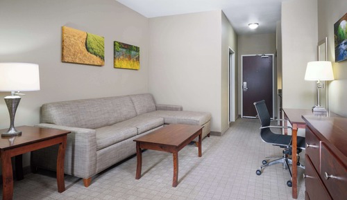 Suite, 1 King Bed with Sofa bed, Non Smoking, Refrigerator & Microwave (with Sofabed)