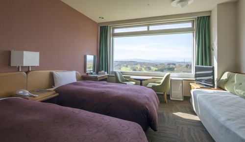 Standard Twin Room, Non Smoking (Please book as an adult if your child needs a bed)