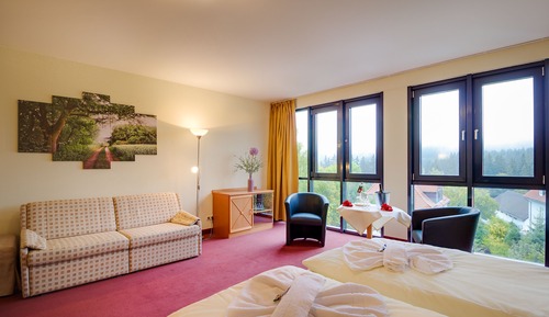 Studio, 1 Double Bed, Non Smoking, Mountain View