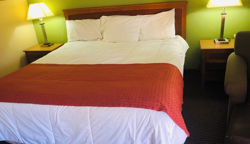 Basic Single Room, 1 King Bed