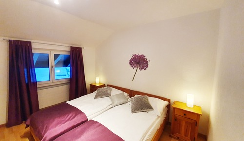 Comfort Apartment, 1 Bedroom, Mountain View