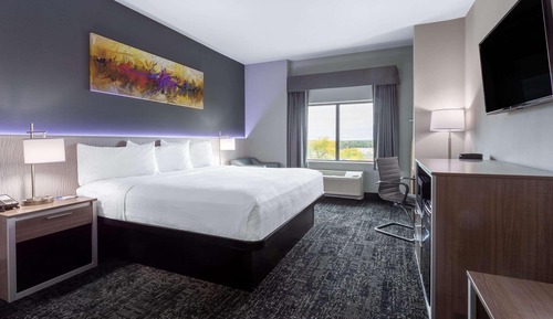 Room, 1 King Bed, Non Smoking (Pet-friendly)