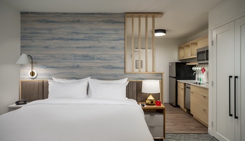 Studio, 1 King Bed with Sofa bed (Mobility Accessible, Roll-in Shower)