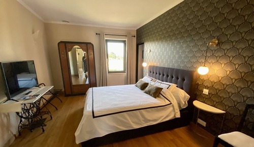 Deluxe Double Room, Private Bathroom, Pool View (Rétro)