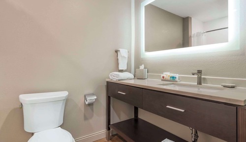 Room, 1 King Bed, Roll-in Shower, Non Smoking
