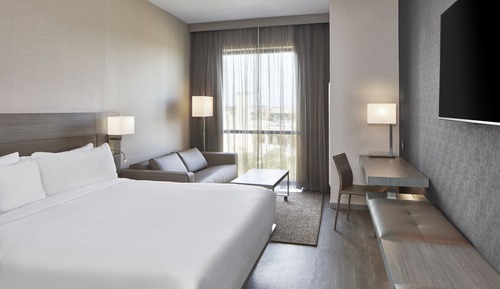 Room, 1 King Bed
