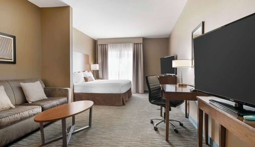 Suite, 1 King Bed, Non Smoking, Refrigerator & Microwave (with Sofabed)