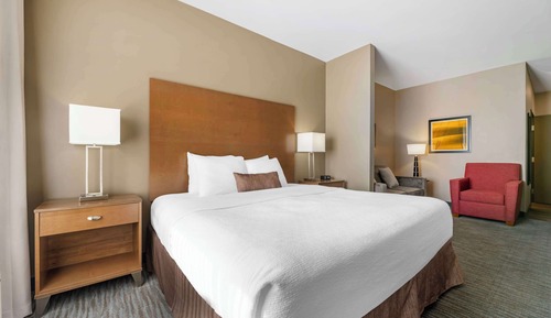Suite, 1 King Bed, Accessible, Refrigerator & Microwave (with Sofabed)