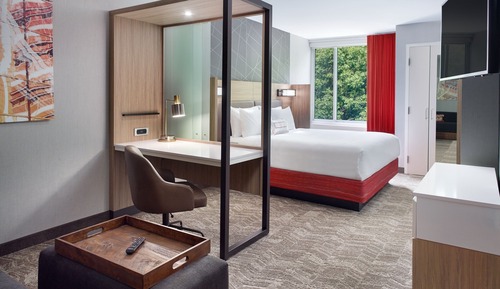 Studio Suite, 1 King Bed with Sofa bed