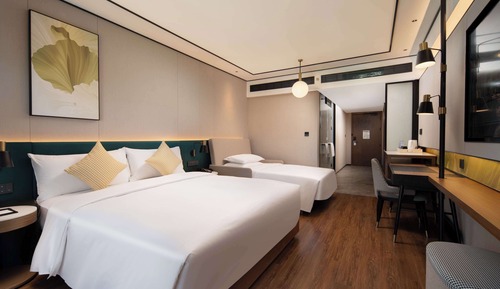 Room, 1 King Bed