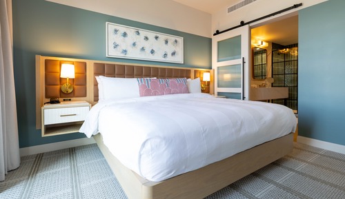 Standard Room, 1 King Bed, Non Smoking (Mobility Accessible, Tub)