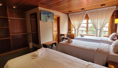Basic Triple Room