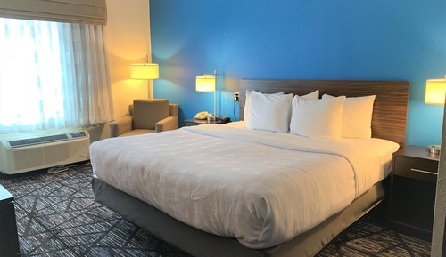 Standard Room, 1 King Bed, Accessible, Non Smoking