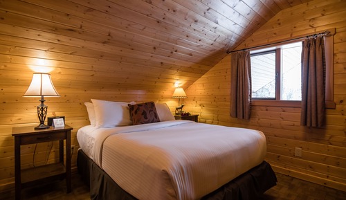 Suite, 1 Bedroom (Pet-Free)