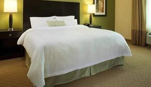 Room, 1 King Bed