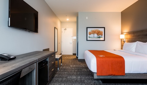 Standard Room, 1 King Bed, Non Smoking