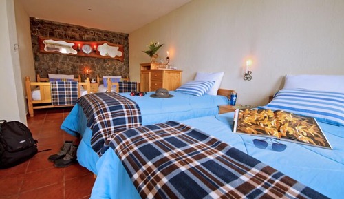 Family Room, Mountain View