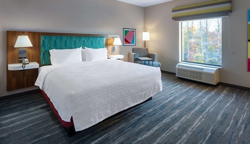 Room, 1 King Bed with Sofa bed, Refrigerator & Microwave