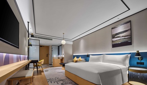 Basic Room, 1 King Bed, Accessible