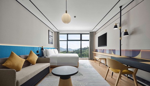 Basic Room, 1 King Bed