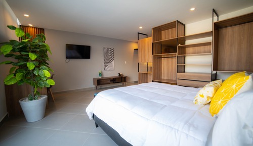 Executive Loft, 1 Bedroom, Accessible, City View