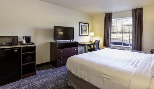 Room, 1 King Bed, Accessible, Non Smoking (Guestroom)