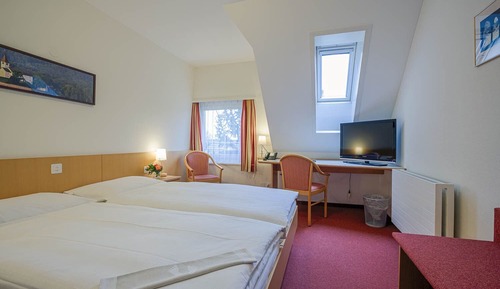Standard Double or Twin Room, Non Smoking