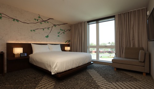 Suite Room