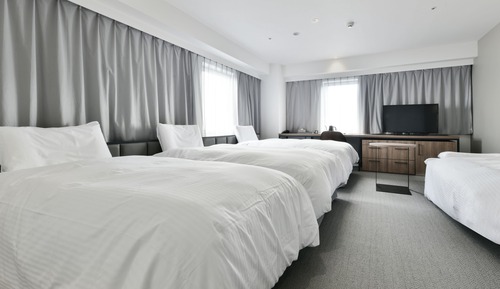 Deluxe Twin with 2 Extra beds