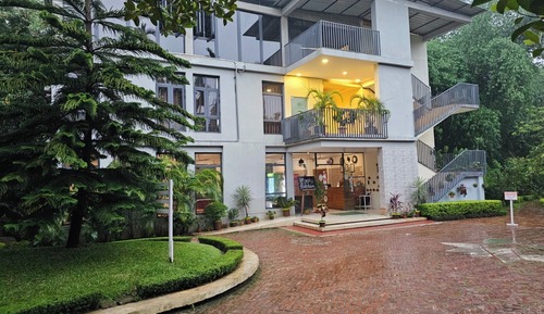 Superior Room, 1 Bedroom, Mountain View