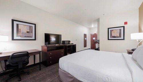 Room, 1 King Bed, Accessible, Non Smoking