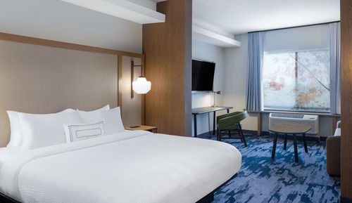 Suite, 1 King Bed with Sofa bed