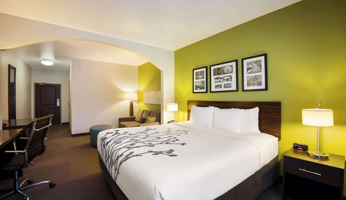 Suite, 1 King Bed, Accessible