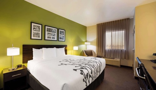 Standard Room, 1 King Bed, Non Smoking