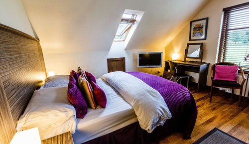 Standard Golfview Single with Steam Shower