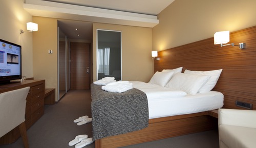 Standard Double or Twin Room, Mountainside
