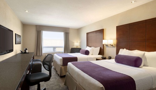 Suite, 1 Queen Bed