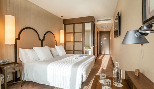 Standard Double Room (Astur - Spa Access)