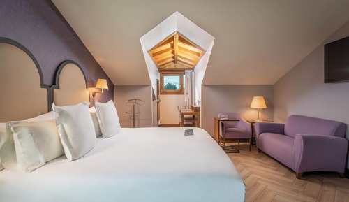 Superior Double Room (Astur Attic)