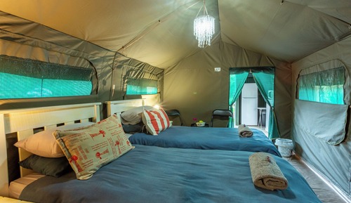 Standard Tent